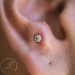 piercing anti tragus 1 - tragus