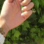 tatuajes de daniela ospina 7 - james