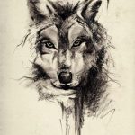 101 Mejores Ideas de Tatuajes de Lobos y sus Significados - Tatuajes Geniales tatuajes lobos diseños 5 - tatuajes de lobos