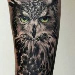 tattoo lechuza buhos brazos 5 - tatuajes de b&uacute;hos