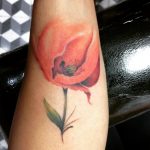 Roy Lodela Mexico df - m&eacute;xico