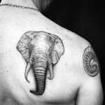 fraktalstudio mexico - m&eacute;xico