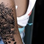 portada tatuajes de tigres - leones