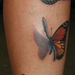 tatuajes de mariposas pierna - tatuajes de mariposas