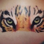 tatuajes tigres bengalas 1 - tigres