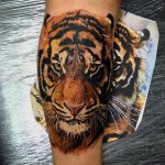 tatuajes tigres bengalas 5 - tigres