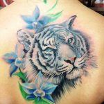tatuajes tigres blancos 4 - tigres