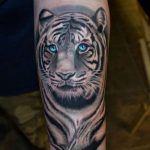 tatuajes tigres blancos 5 - tigres