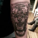 tatuajes tigres brazo hombro 3 - tigres