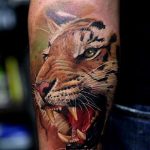 tatuajes tigres brazo hombro 5 - tigres