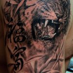 tatuajes tigres brazo hombro 6 - tigres