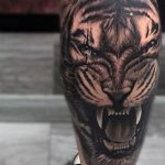tatuajes tigres en la pierna rodilla tobillos 2 - tigres