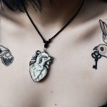 clavicula -