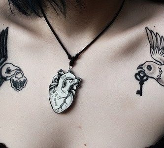 clavicula -