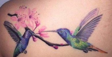 colibri - tatuajes de animales